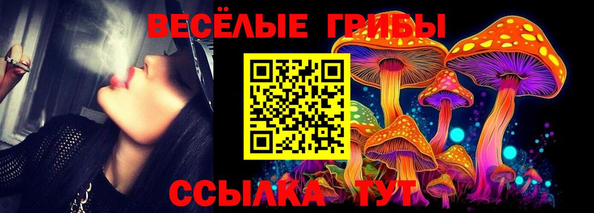 Галлюциногенные грибы мицелий  Псилоцибиновые грибы Cubensis  цены наркотик  Абинск  Вход с VPN 